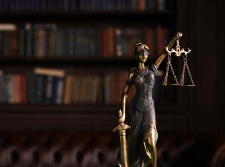 dikastiki mesolavisi